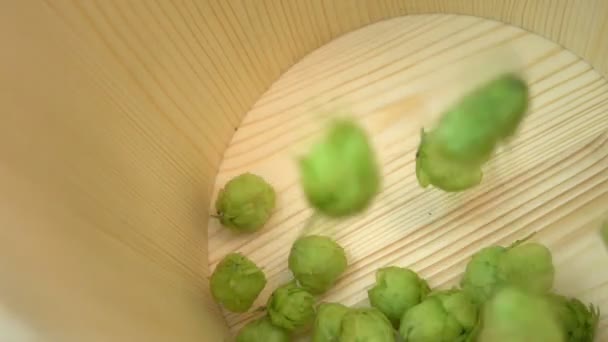 Two videos of hops falling into wooden bucket in real slow motion — Stock Video