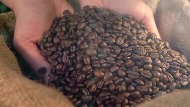 Two videos of showing coffee beans in real slow motion — Stock Video