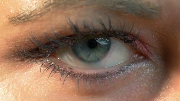 Cinco vídeos de ojo humano en 4K — Vídeos de Stock