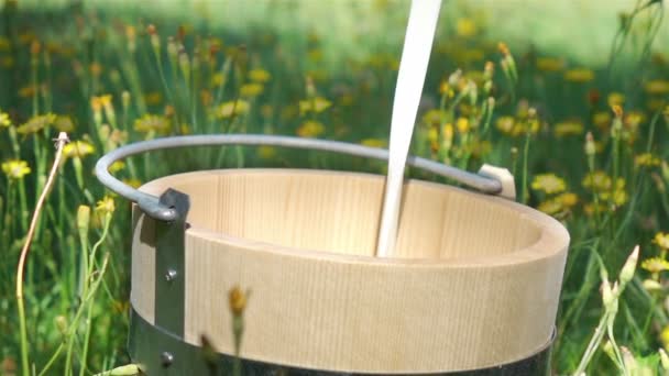 Два видео наливания молока в деревянные ведра - настоящая замедленная съемка — стоковое видео