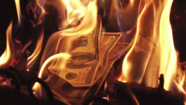 本当のスローモーションでお金を燃焼の 2 つのビデオ — ストック動画