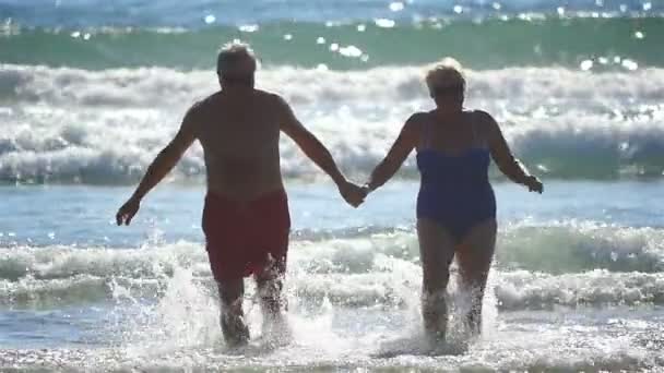 可爱的年长夫妇在慢动作中的两个视频 — 图库视频影像