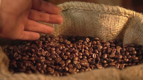 Video der Einnahme von Kaffeebohnen in echter Zeitlupe — Stockvideo
