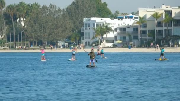 サンディエゴの paddleboarding のビデオ — ストック動画