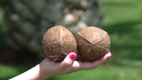 Video av händer som håller kokosnötter i äkta slow motion — Stockvideo