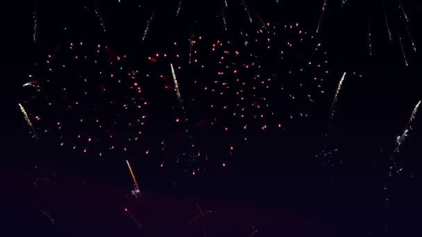 Wideo z programu fireworks w 4k — Wideo stockowe