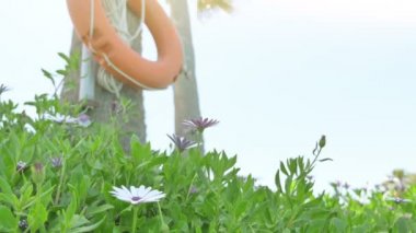 4 k palmiye ağacı üzerinde turuncu lifebuoy video