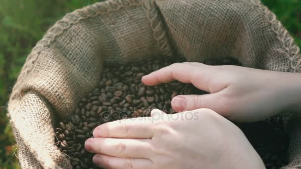 Відео прийому кавових зерен у реальному повільному русі — стокове відео