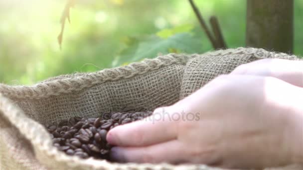 Vídeo de tomar grãos de café em câmera lenta real — Vídeo de Stock