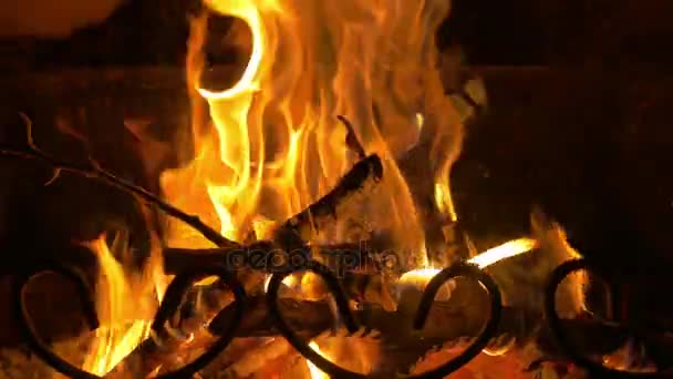 Video von glühendem Feuer in 4k — Stockvideo
