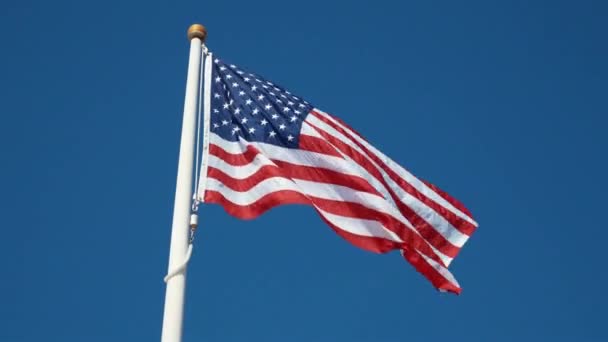 Americká Vlajka Vlnící Větru — Stock video