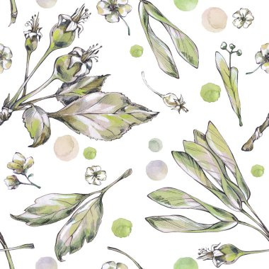 Sulu Boya Dikişsiz botanik desen