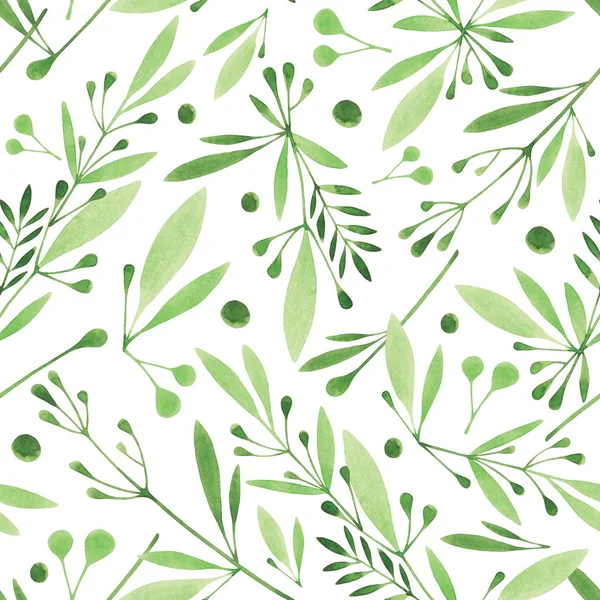 Aquarel naadloze botanische patroon — Stockfoto