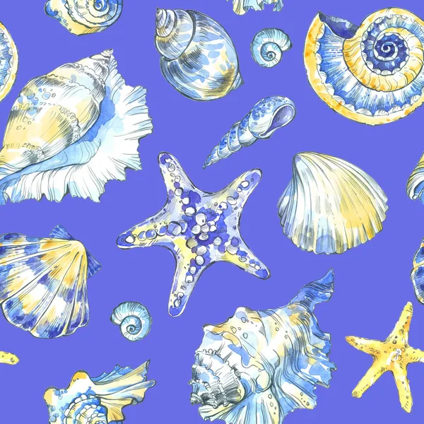 Patrón de conchas marinas pintadas a mano . —  Fotos de Stock