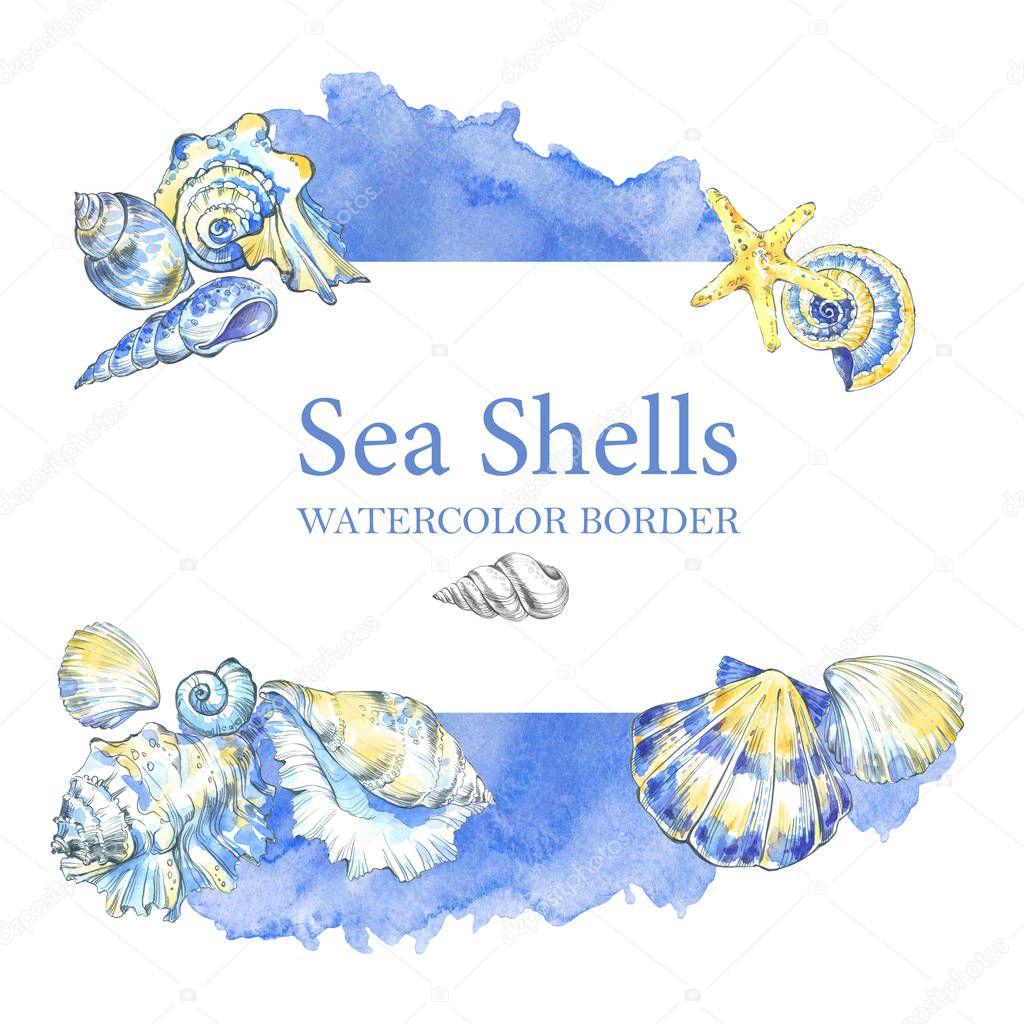 border with watercolor sea shells