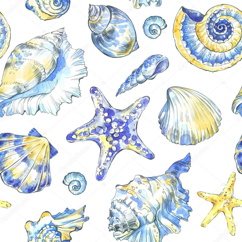 Hand painted seashells pattern.