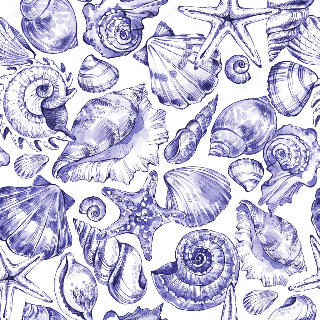 Hand painted seashells pattern.