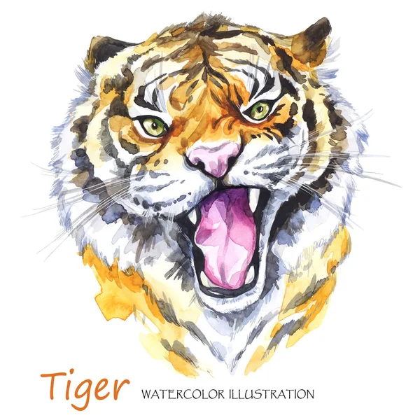 Watercolor roaring tiger — Stock Photo, Image