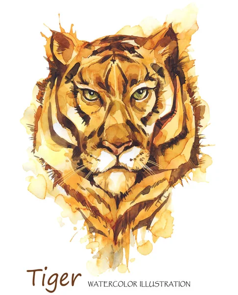 Watercolor tiger on  background. — Stock Photo, Image