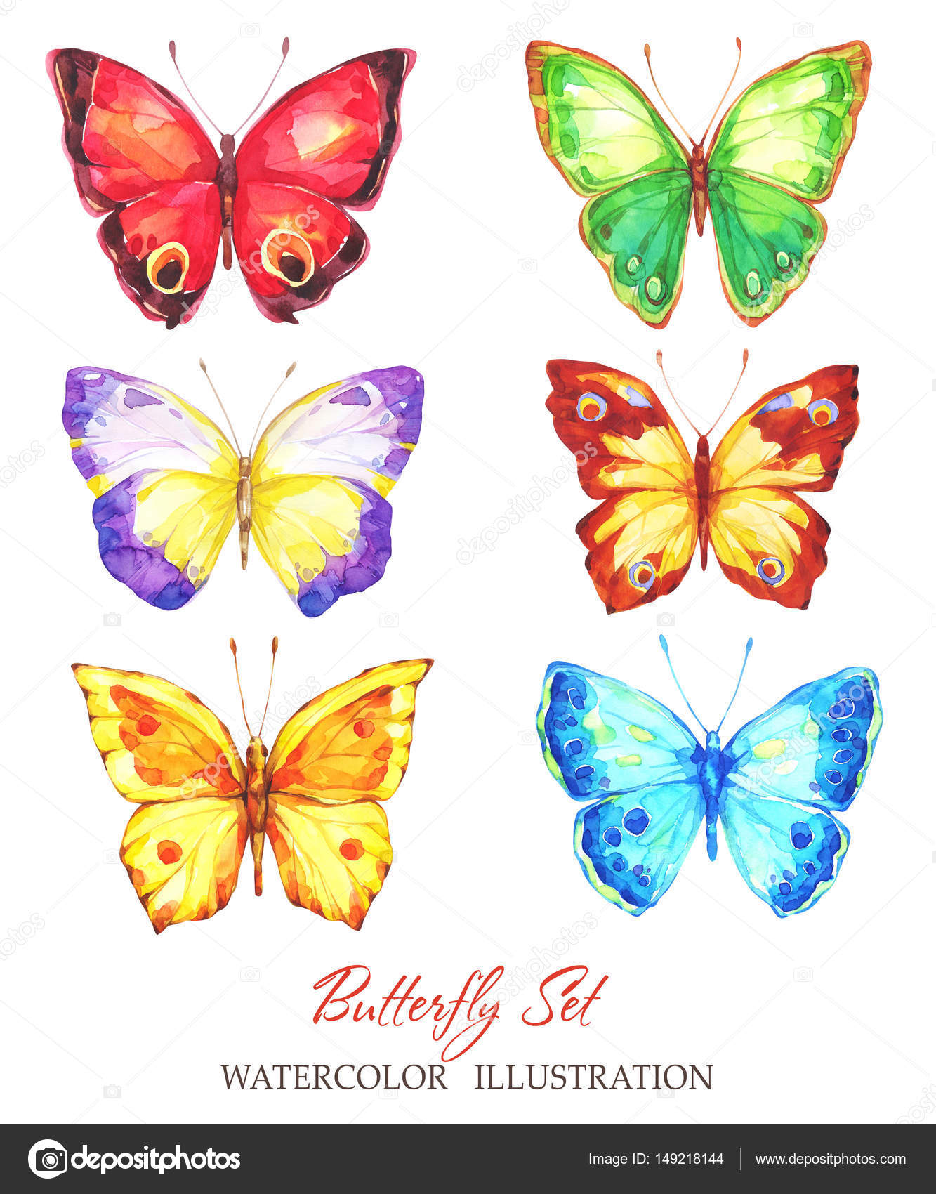 Hand painted butterfly set. Stock Photo by 149218144