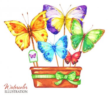 El boyalı kelebekler