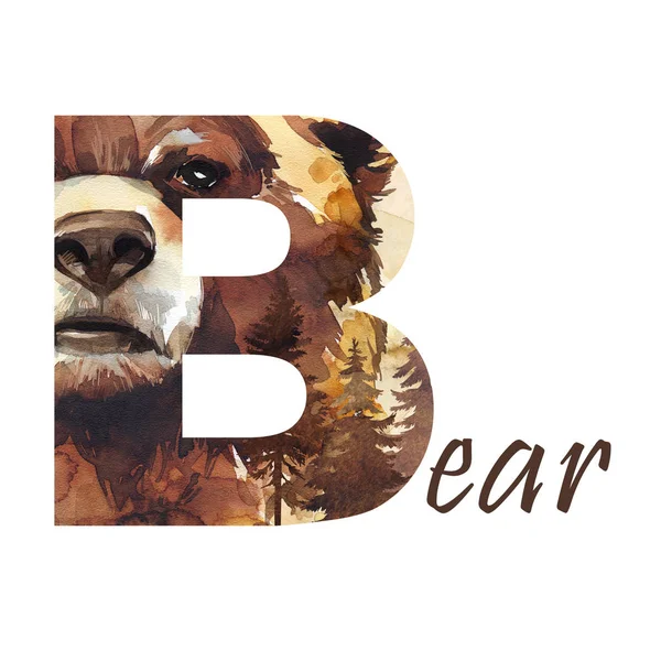 Carta maiúscula B de urso aquarela — Fotografia de Stock
