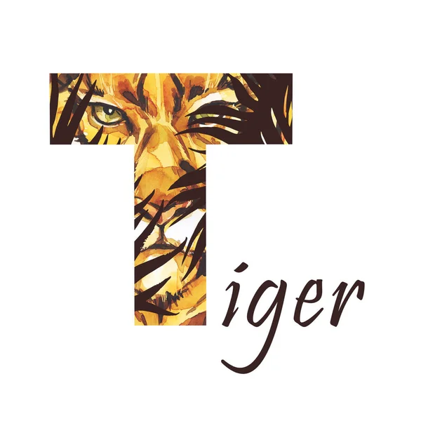 Großbuchstabe t von Aquarell Tiger im Dschungel, isolierte Hand auf weißem Hintergrund gezeichnet. afrikanisches Tier. Wildtierbuchstaben. kann auf T-Shirts, Postern, Einladungen, Kinderkarten gedruckt werden. — Stockfoto