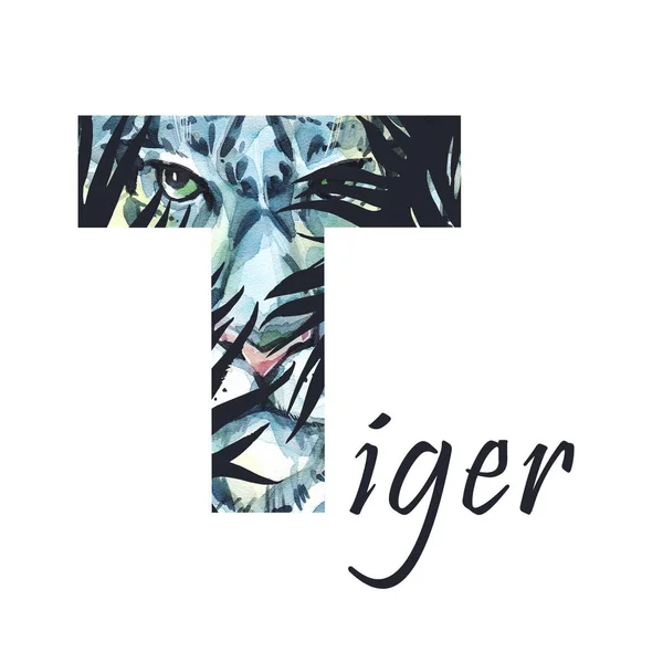 Großbuchstabe t von Aquarell Tiger im Dschungel, isolierte Hand auf weißem Hintergrund gezeichnet. afrikanisches Tier. Wildtierbuchstaben. kann auf T-Shirts, Postern, Einladungen, Kinderkarten gedruckt werden. — Stockfoto