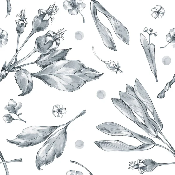 Naadloze patroon met aquarel bloemen en kruiden. Originele hand getekende illustratie. Botanische textuur. Monochroom natuur ontwerp. Perfect voor een poster, afdrukken op fabric. — Stockfoto