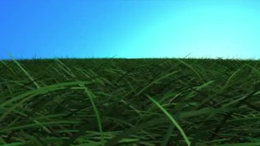 Uçan çim alanın üzerinde