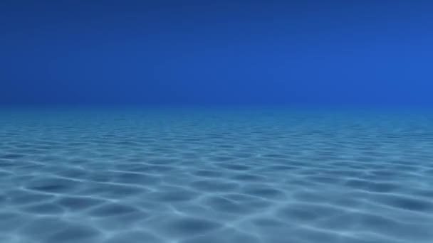 Plongée sous-marine 