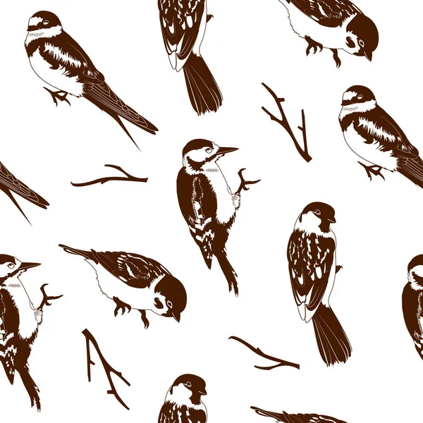 Illustration vectorielle du motif sans couture des oiseaux — Image vectorielle