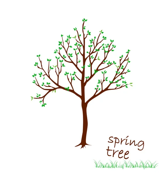 葉のある春木のベクトル イラスト — ストックベクタ