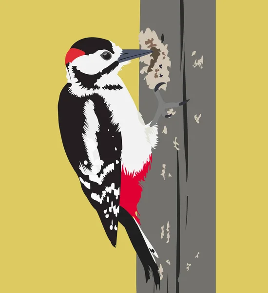 Ilustración vectorial de pájaro carpintero en un árbol — Archivo Imágenes Vectoriales