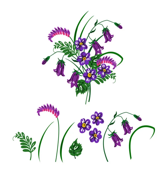 Illustration vectorielle du bouquet en fleurs sauvages bleues et violettes . — Image vectorielle