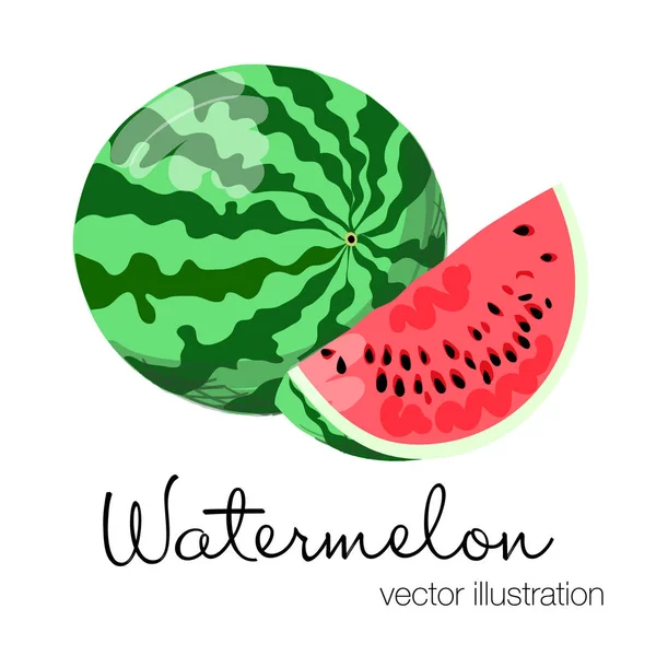 Vektor Illustration der bunten Wassermelone. — Stockvektor