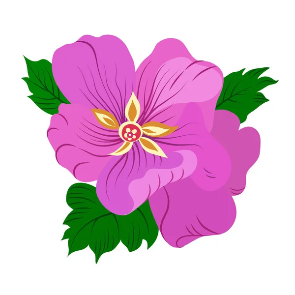 Illustration vectorielle de fleurs violettes dessinées à la main et feuilles vertes . — Image vectorielle