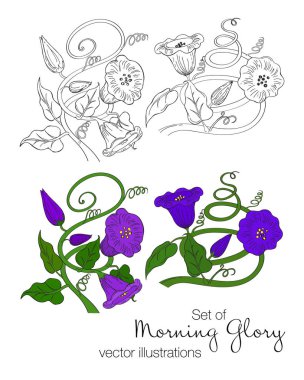 Sabah zafer vektör çizim el çekilmiş seti.