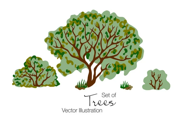 Conjunto de árboles, hierba y arbustos . — Archivo Imágenes Vectoriales