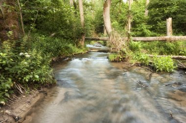 Roztocze (Roztochia) Milli Parkı. Cascades Sopot Nehri üzerinde. Czartowe Pole (şeytanın alanı) rezervasyon.