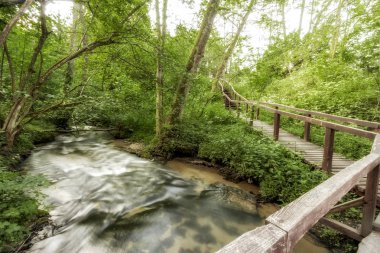 Roztocze (Roztochia) Milli Parkı. Cascades Sopot Nehri üzerinde. Czartowe Pole (şeytanın alanı) rezervasyon.