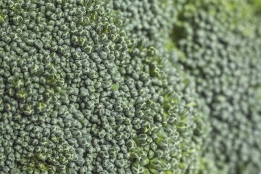 Brokoli doku closeup makro.