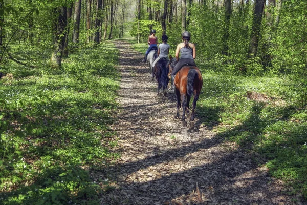 Young girls riding on horseback through the forest — Stock Photo, Image