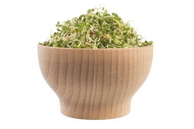 lucerne alfalfa in wooden bowl isolated on white background. nutrition. food ingredient.
