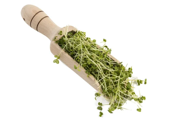 Broccoli Sprouts Wooden Scoop Isolated White Background Nutrition Bio Natural — Stock Photo, Image
