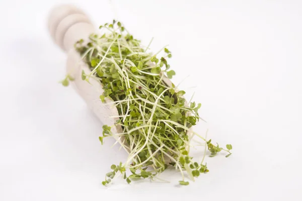 Brotos Brócolis Colher Madeira Isolada Sobre Fundo Branco Nutrição Biografia — Fotografia de Stock