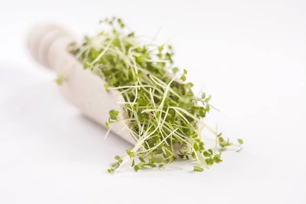 Broccoli Sprouts Wooden Scoop Isolated White Background Nutrition Bio Natural — Stock Photo, Image