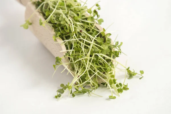 Broccoli Sprouts Wooden Scoop Isolated White Background Nutrition Bio Natural — Stock Photo, Image