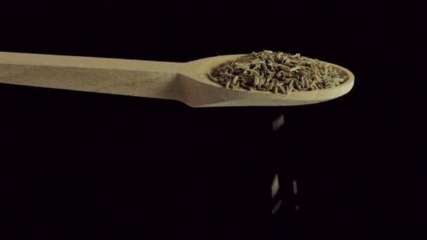 One Spoon Cumin Spices Food Ingredients Slow Motion — Stock Video