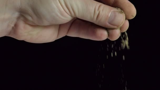 Mans Mão Espalhando Pitada Pimenta Preta Moída Especiarias Ingredientes Alimentares — Vídeo de Stock